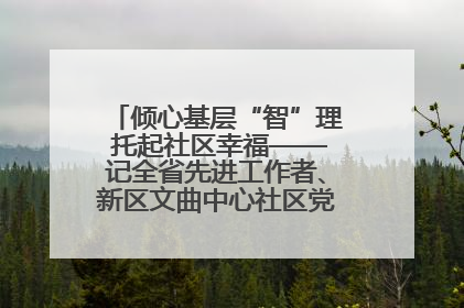 倾心基层“智”理 托起社区幸福——记全省先进工作者、新区文曲中心社区党委书记董世弘